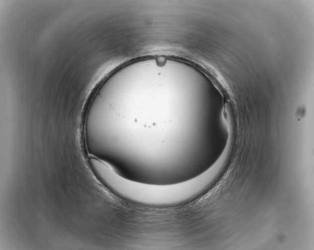 X0000099321277200805231417