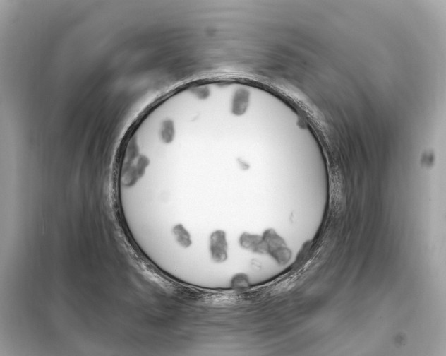 X0000099321278200805231417