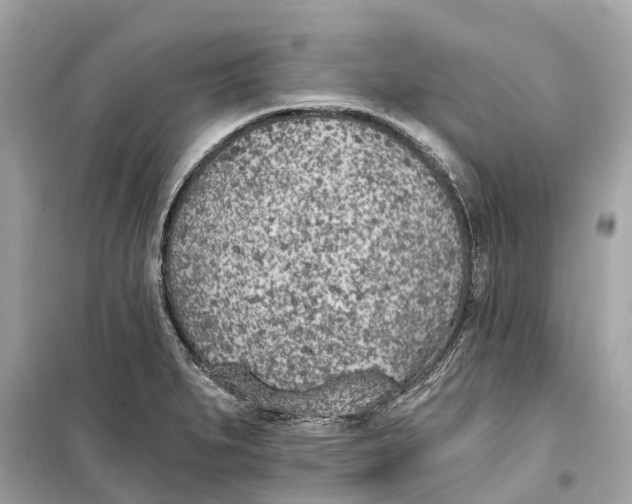 X0000099321279200805231417