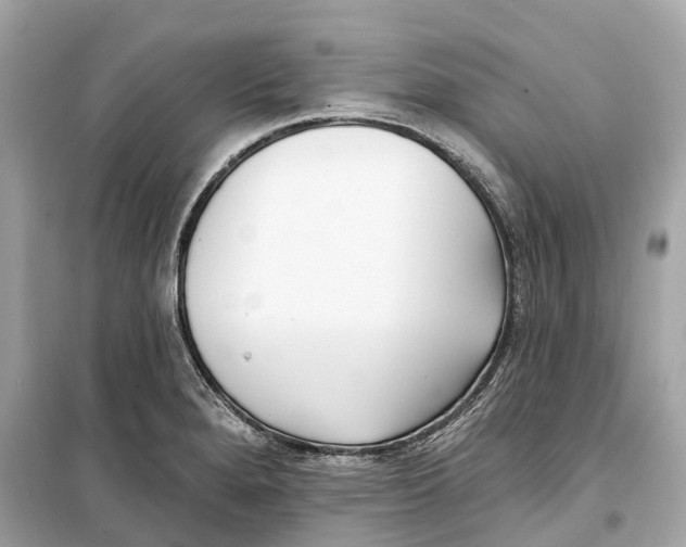 X0000099321280200805231417