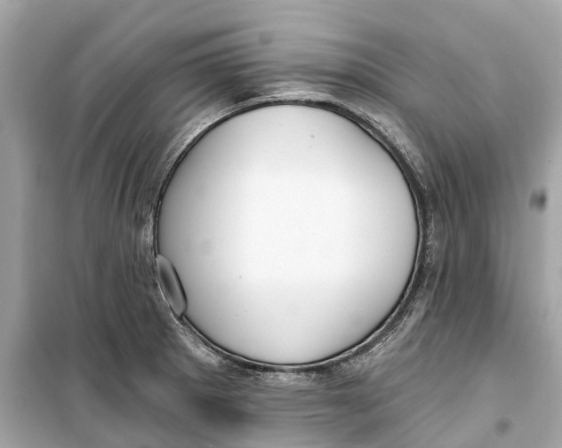 X0000099321281200805231417