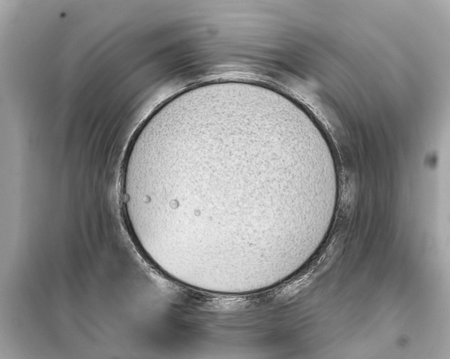 X0000099321282200805231417