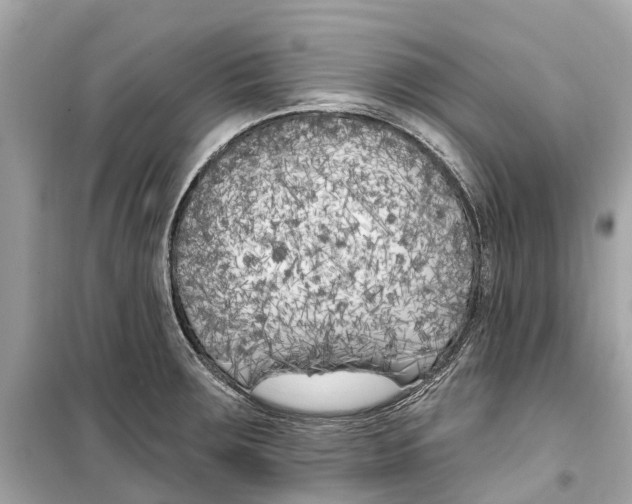 X0000099321283200805231417