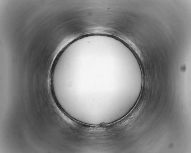 X0000099321285200805231417