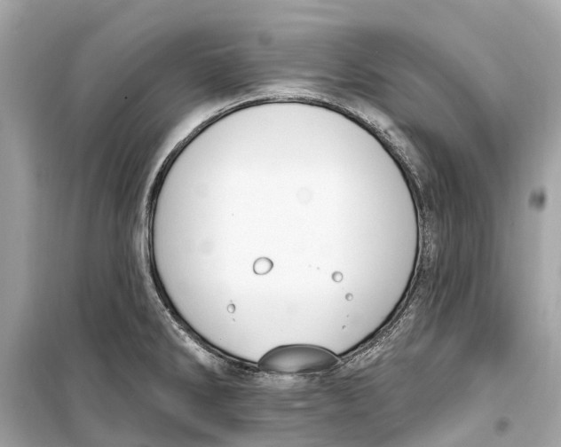 X0000099321286200805231417