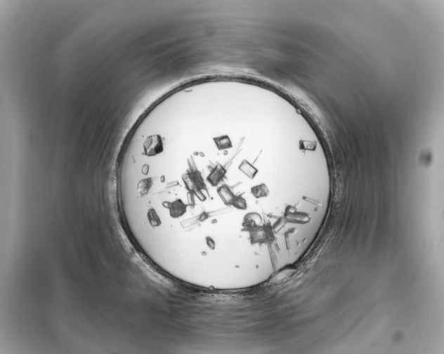 X0000099321287200805231417