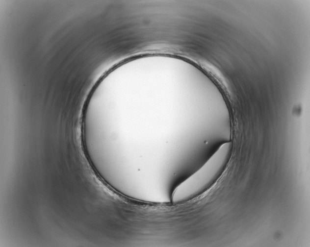 X0000099321288200805231417