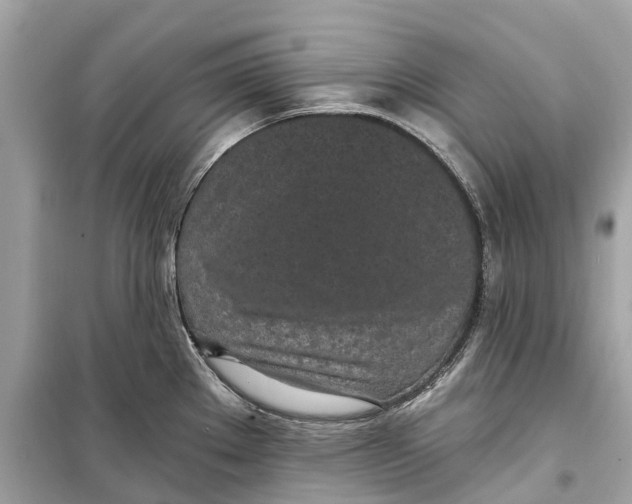 X0000099321289200805231417