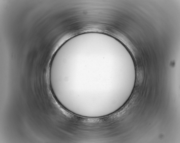 X0000099321290200805231417