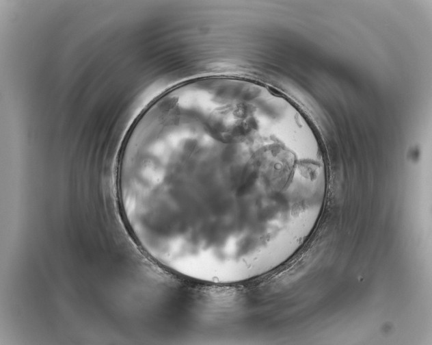 X0000099321291200805231417