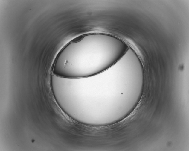 X0000099321292200805231416