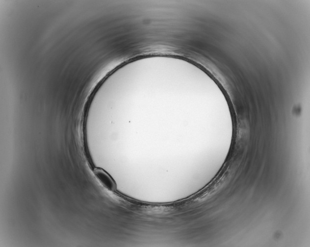 X0000099321293200805231416