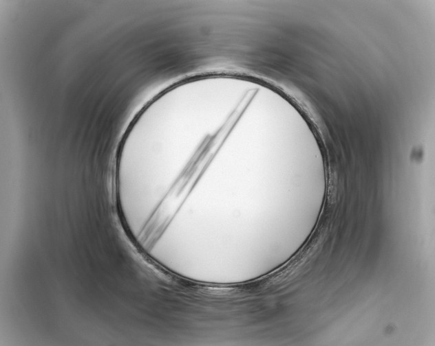 X0000099321295200805231416