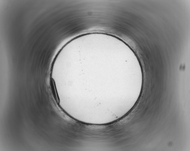 X0000099321296200805231416