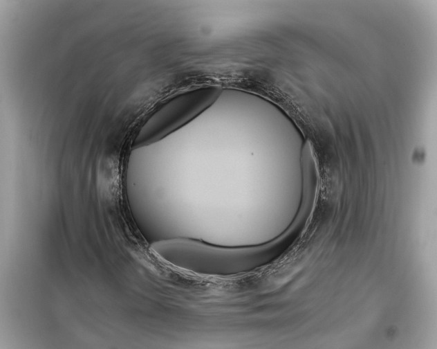 X0000099321298200805231416