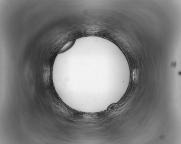 X0000099321299200805231416