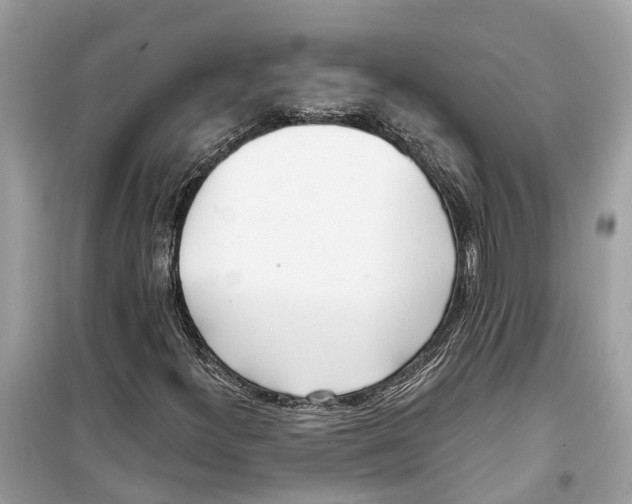 X0000099321300200805231416