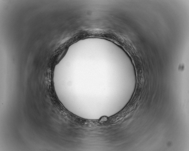 X0000099321301200805231416