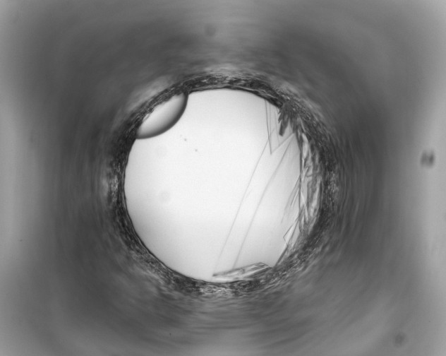 X0000099321302200805231416