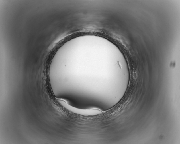 X0000099321304200805231416