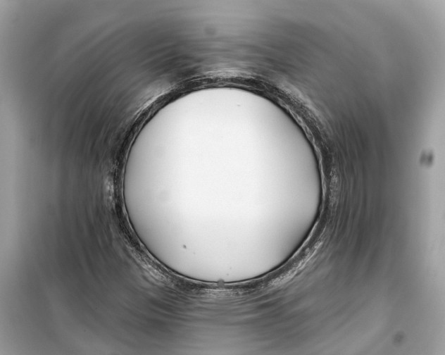 X0000099321305200805231416