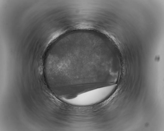 X0000099321306200805231416