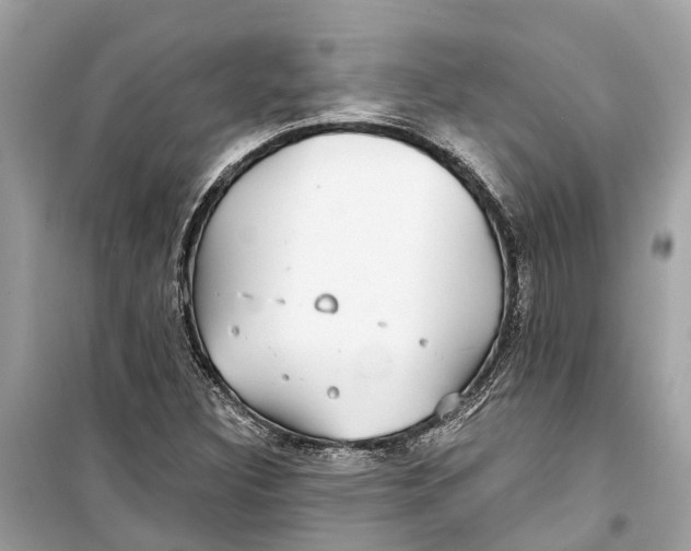 X0000099321308200805231416