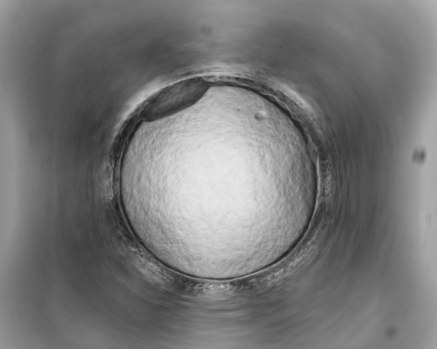 X0000099321310200805231416