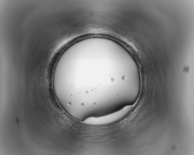 X0000099321311200805231416