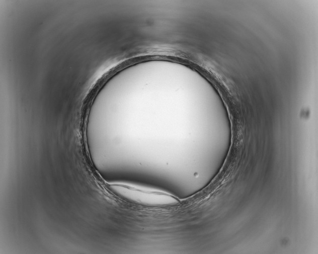 X0000099321312200805231416