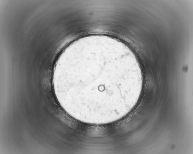 X0000099321314200805231416