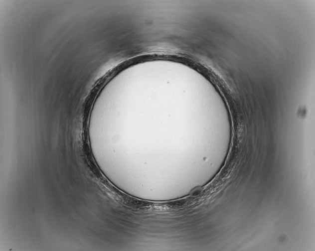 X0000099321315200805231416