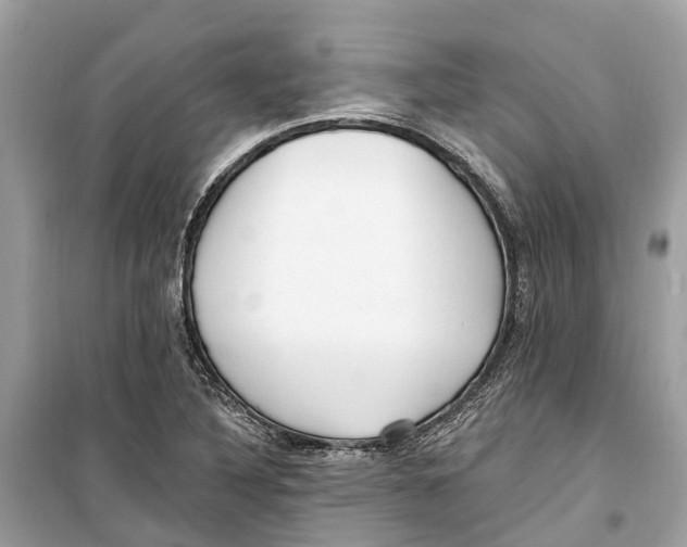 X0000099321316200805231416