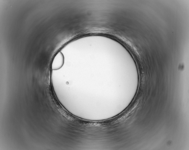 X0000099321317200805231416