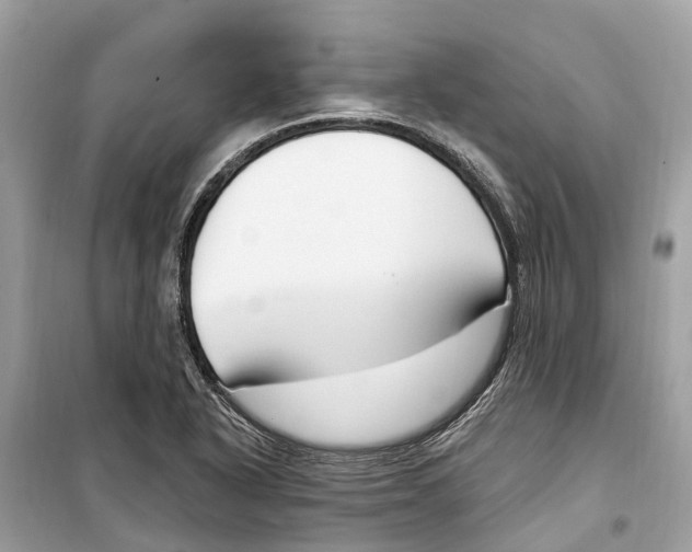 X0000099321318200805231416