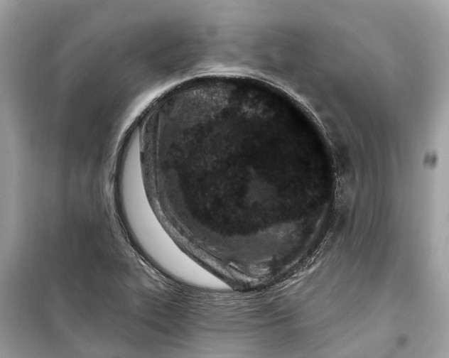 X0000099321319200805231416