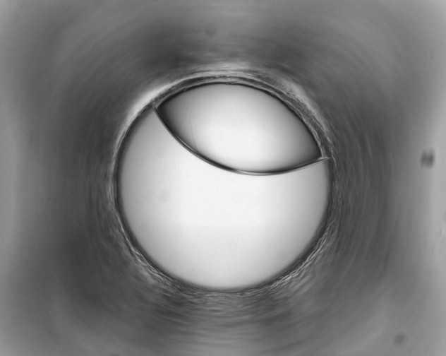 X0000099321320200805231416