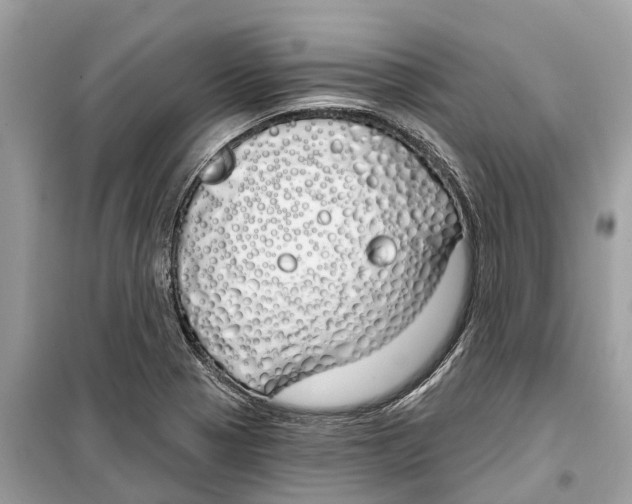 X0000099321321200805231416