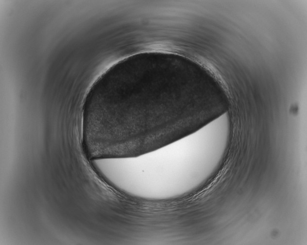 X0000099321323200805231416