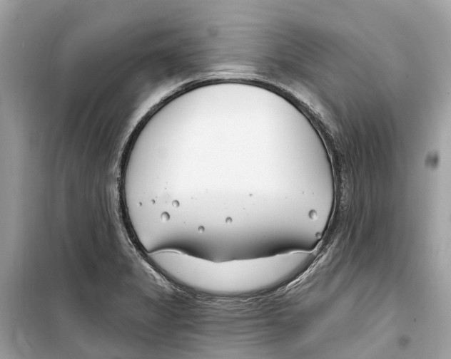 X0000099321325200805231416