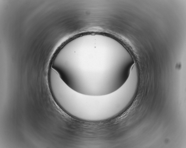 X0000099321326200805231416