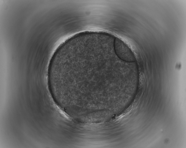 X0000099321327200805231416