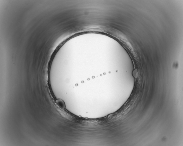 X0000099321328200805231416