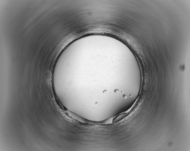 X0000099321329200805231416