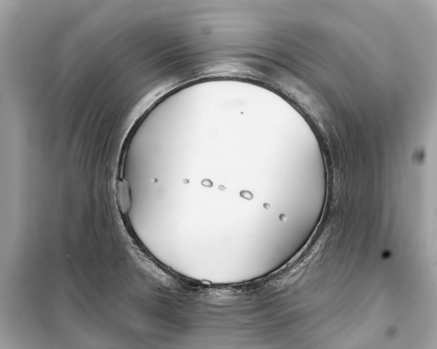 X0000099321330200805231416