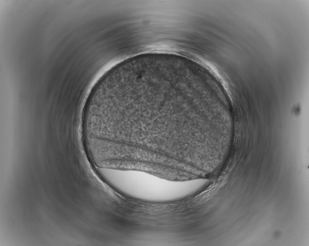 X0000099321331200805231416