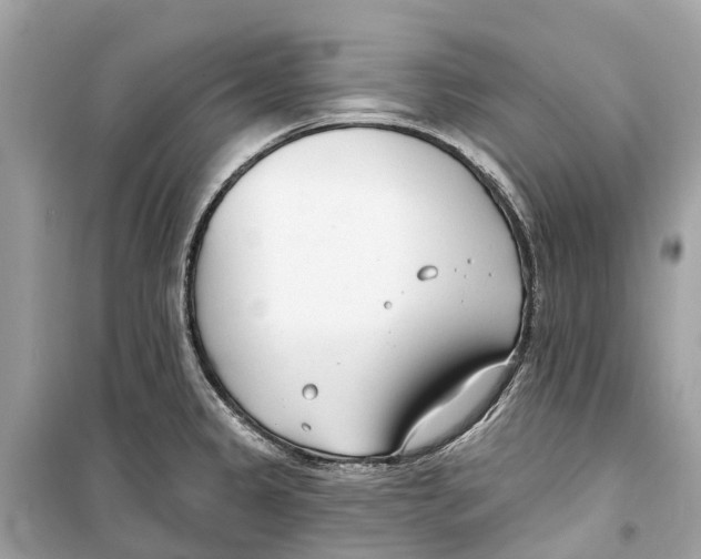 X0000099321333200805231416