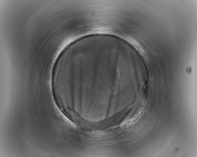 X0000099321334200805231416