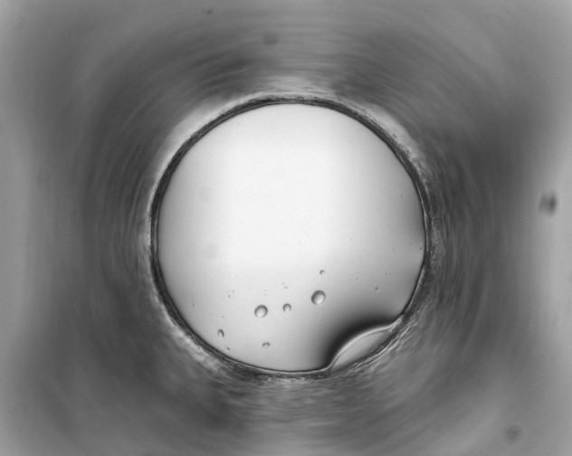 X0000099321335200805231416