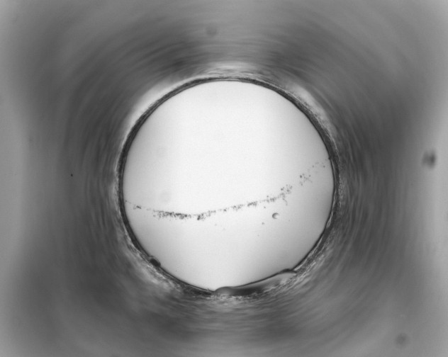 X0000099321336200805231416